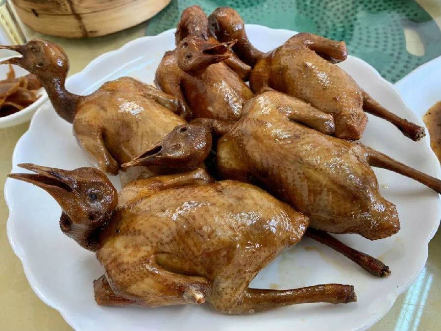 世界花卉大观园遛娃好去处,大观园遛娃攻略