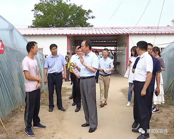 建安区区长马浩调研北海之滨,许昌市建安区区委书记马浩