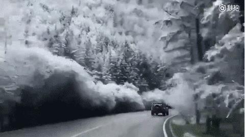 鍫瘮鐟炲+鐨勪腑鍥芥粦闆満,濯茬編鐟炲+