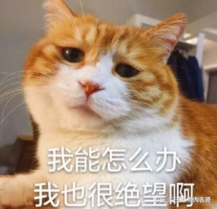 揭秘那些打着代购名号的真面目,怎么判断是不是真的代购