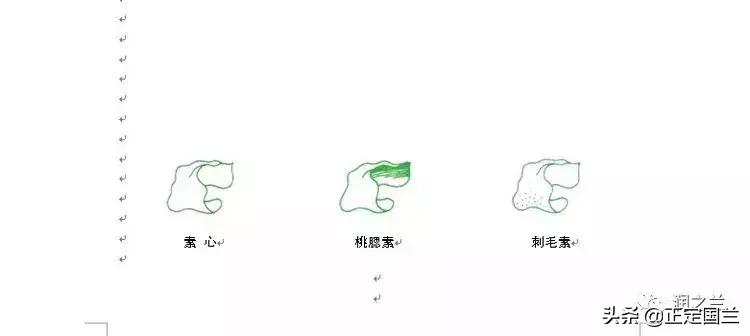 兰花知识大全100种,兰花鉴赏术语100条