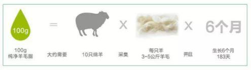 澳大利亚财政部长首推品牌,进国后让柳岩薇娅同时着迷,太疯狂了