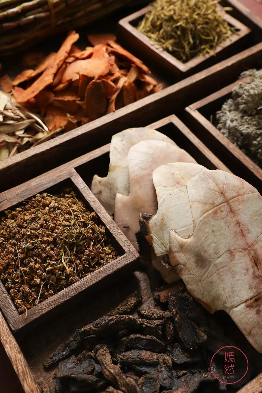 真正有龟的龟苓膏,龟苓膏新发现