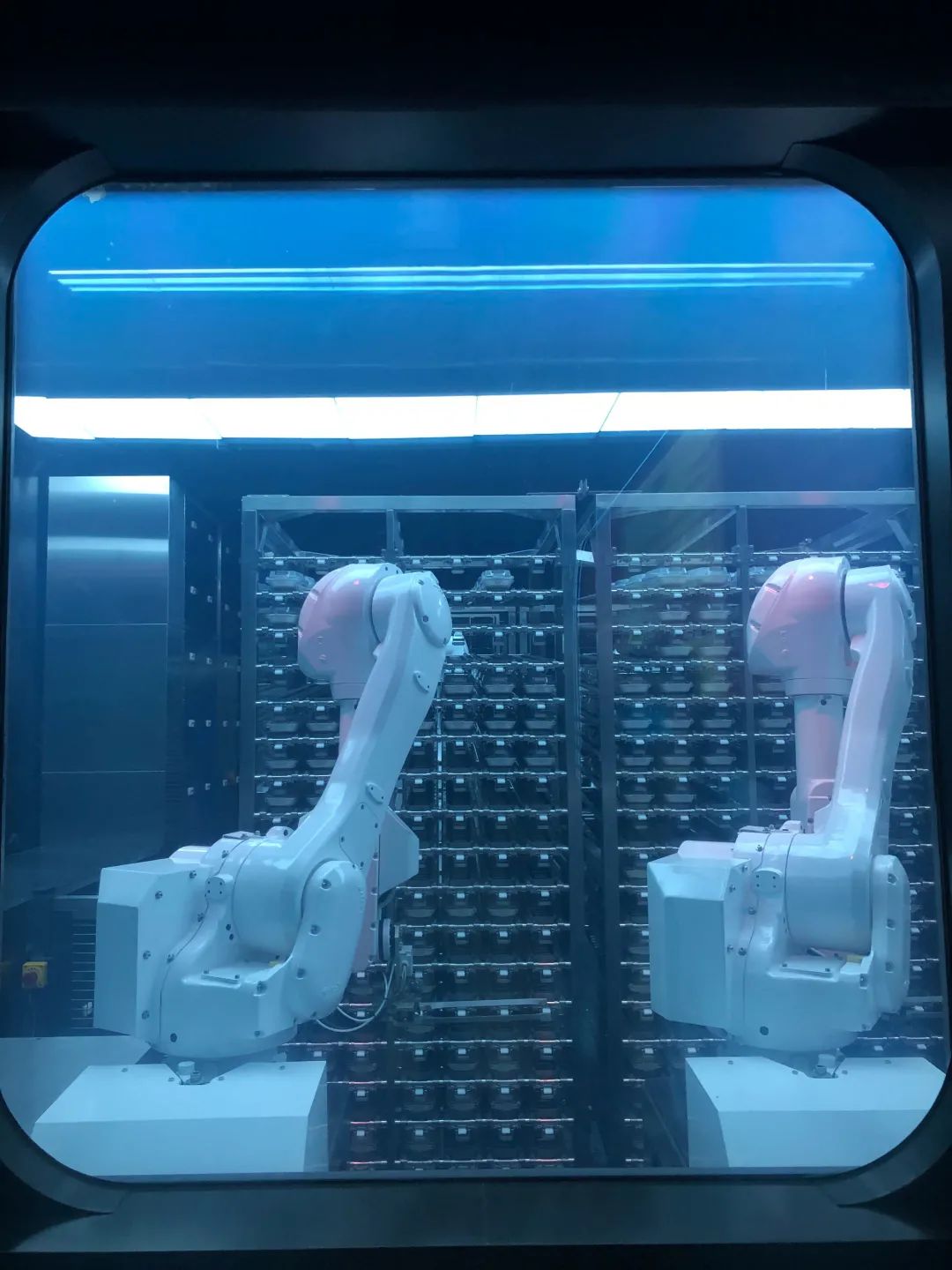 国外服装店服装陈列,服装陈列高级感