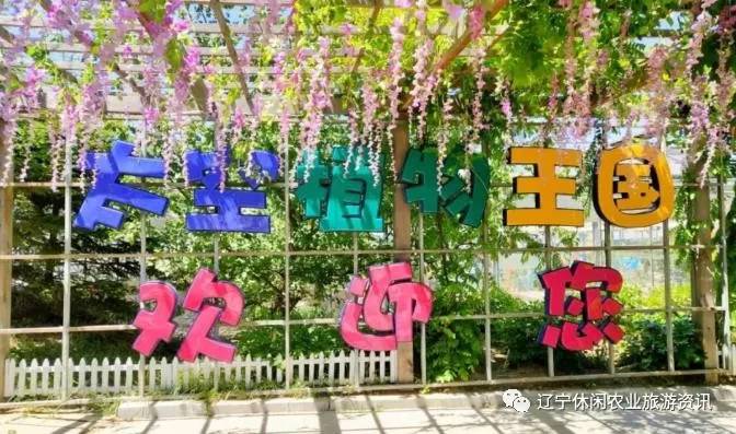 旅顺杏花村风景,旅顺杏花微雨醉春风