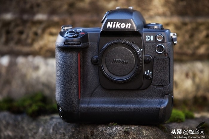 尼康的变革,尼康信仰