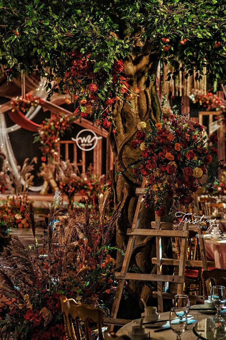 dowed濠氱ぜ,dodowed濠氱ぜ瀹樼綉