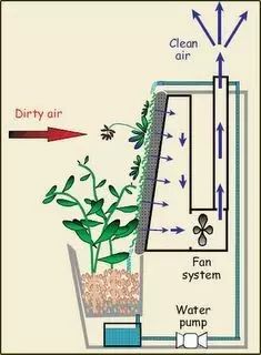 pvc塑料绿植,绿植盆里的塑料