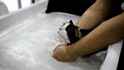 南方人洗澡搓泥吗,南方人洗澡为什么搓不出泥