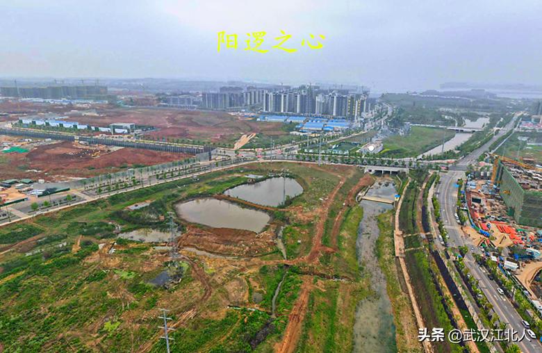 武汉阳逻区发展前景,黄陂和新洲谁更有发展前途