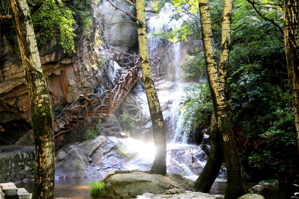 吃在驼梁，体验舌尖上的味道/郝贵云