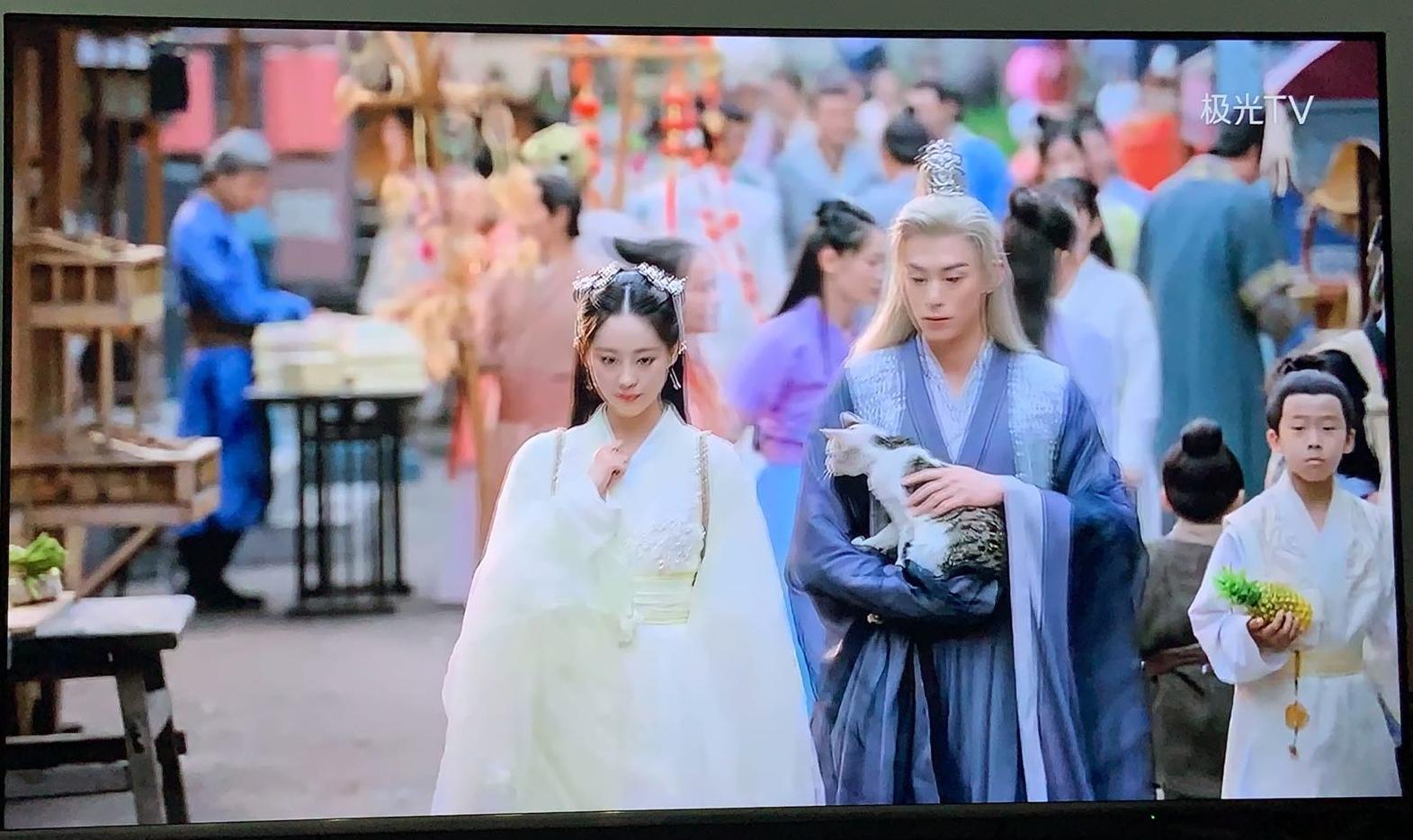 盘点猫咪高能名场面 (猫咪10大最萌镜头)