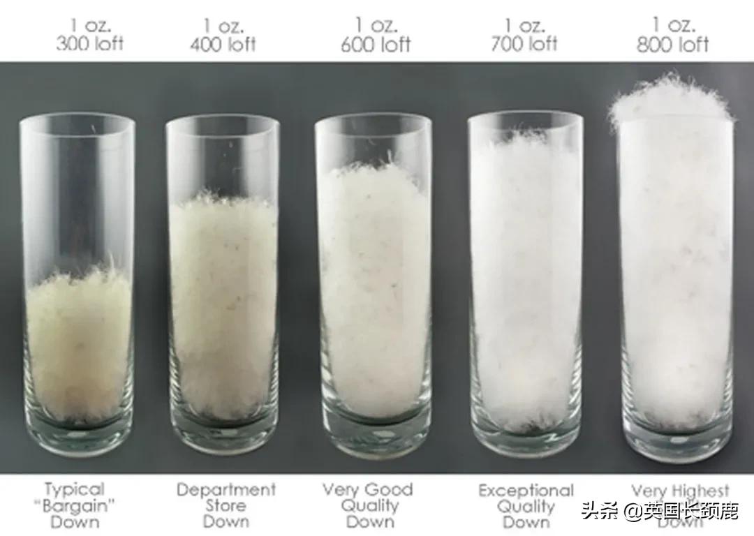 英国的天气适合穿什么样的羽绒服,英国降温最新消息