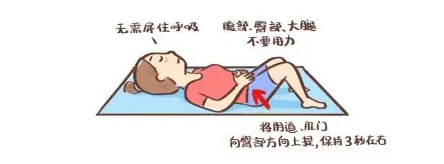 为什么现在都建议做盆底肌修复,如何知道盆底肌康复得怎样了