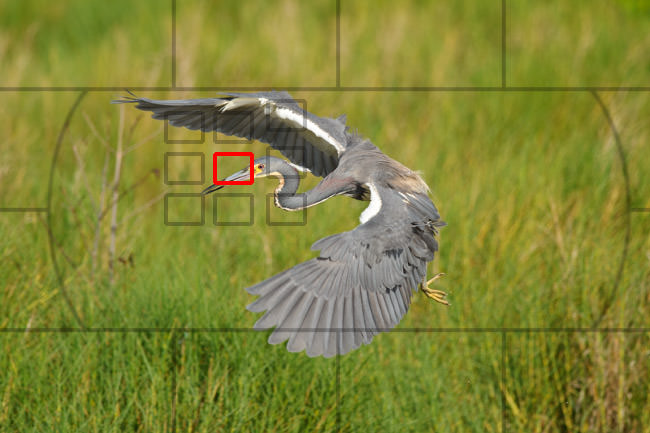 单反相机的设置和使用技巧,单反相机的基础设置
