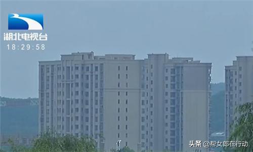 20名小学男生组建神秘QQ群，家长翻看记录吓一跳，都是涉黄内容