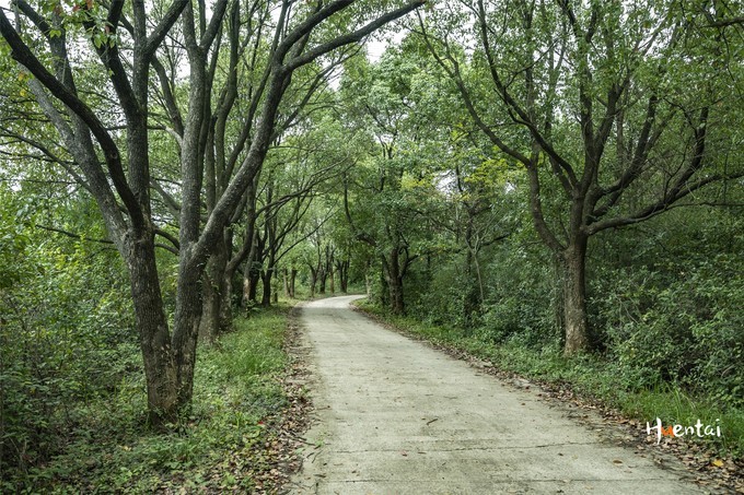 周末自驾游安徽郎溪,门票只花了30块,其它都是原生态秘境