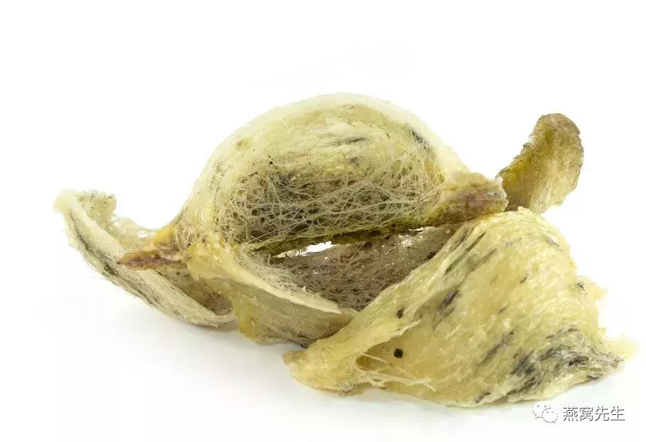 燕窝的储存方法和注意事项,燕窝保存方法在冰箱冷冻室