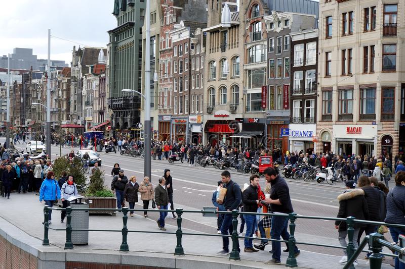 荷兰你不知道的10个冷知识,荷兰100条冷知识