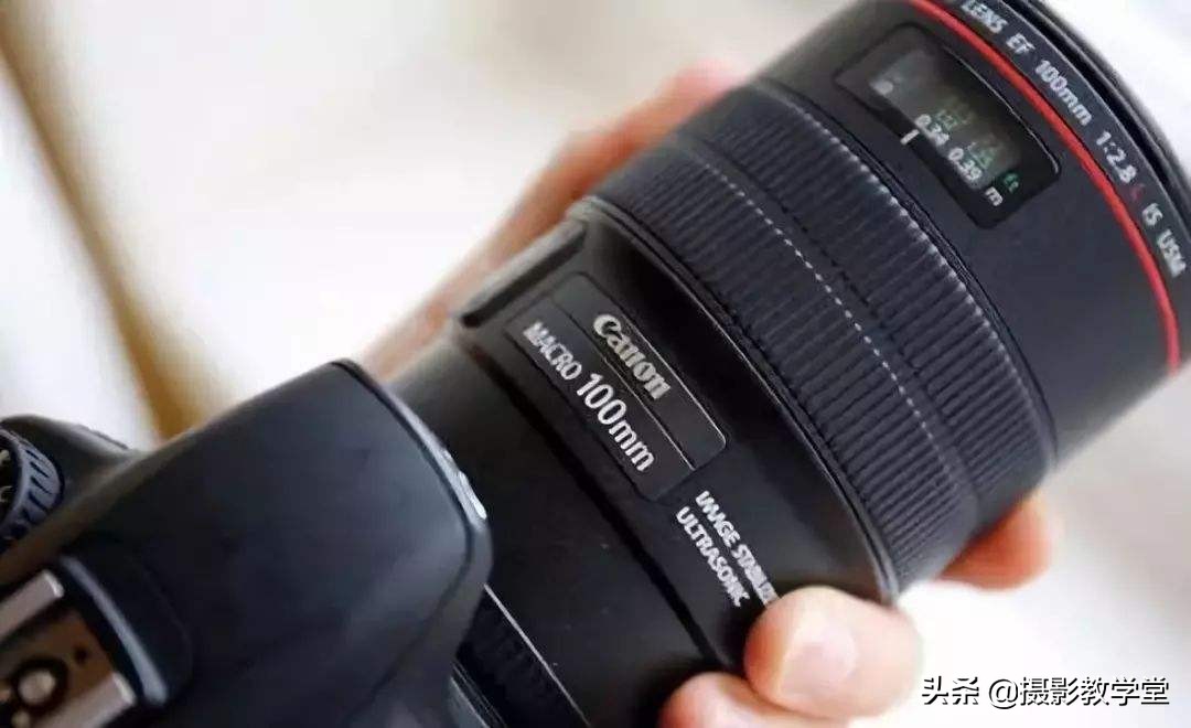 如何拍好微距摄影,摄影微距时怎么拍清全貌