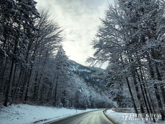 德国顶尖大*联学**盟“U15”成员——汉堡大学