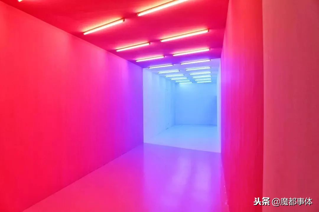 上海天安千树网红打卡点,上海打卡必去的地方排名