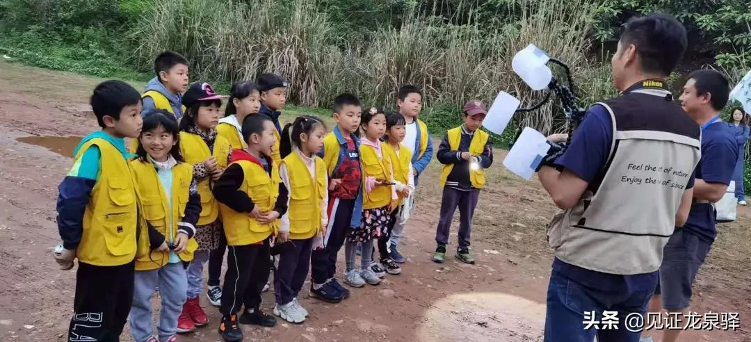 中国自然观察节,2019自然观察节