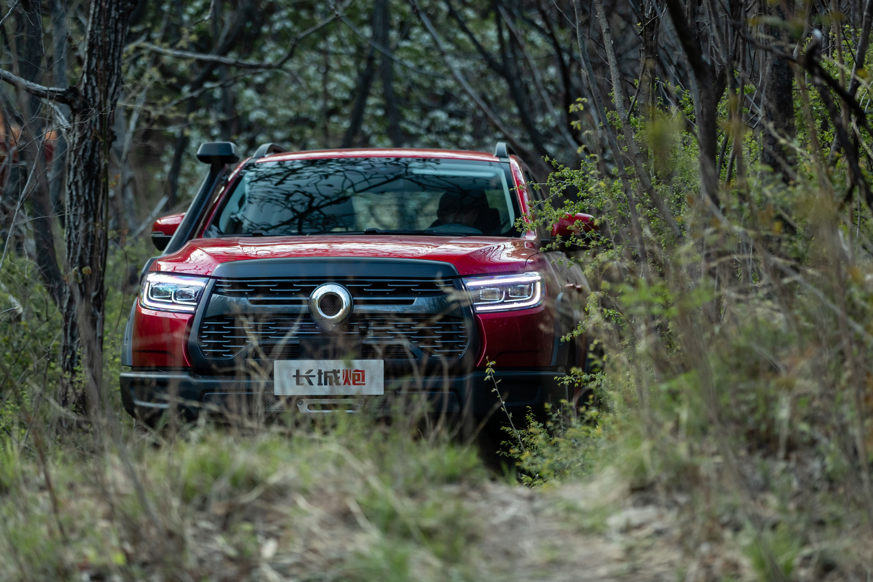 长城野炮黑色,长城越野炮最高版本是哪一款