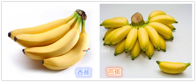 香蕉薄饼的做法儿童早餐,香蕉薄饼不加奶