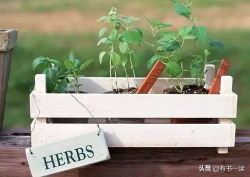 无边的失落与孤独海子诗歌,海子的诗孤独不可言说