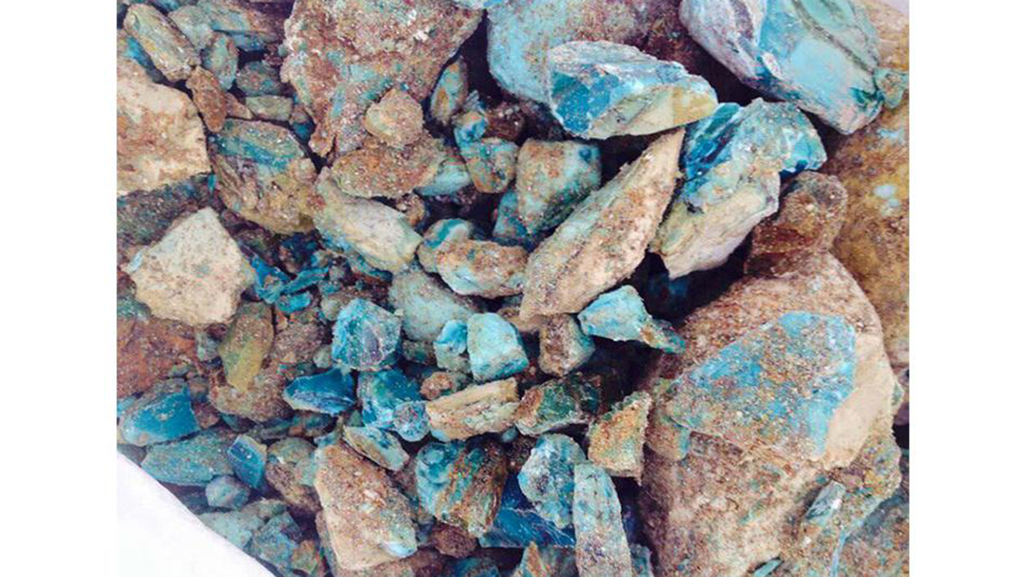 聊聊澳洲好物,澳大利亚特产澳宝