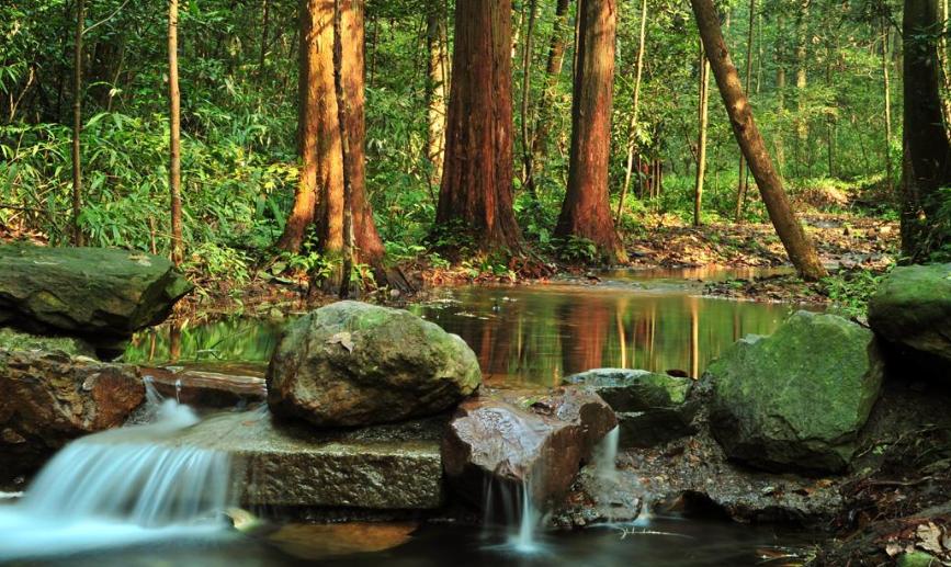 浙江小九寨沟风景区,小九寨沟九溪