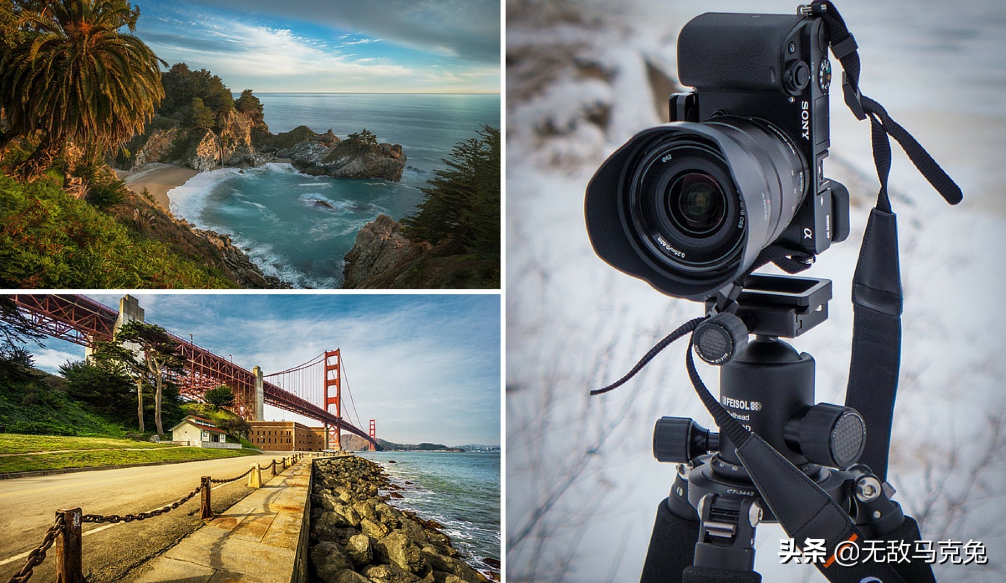 2021单反和无反相机对比,2020单反相机最佳选择