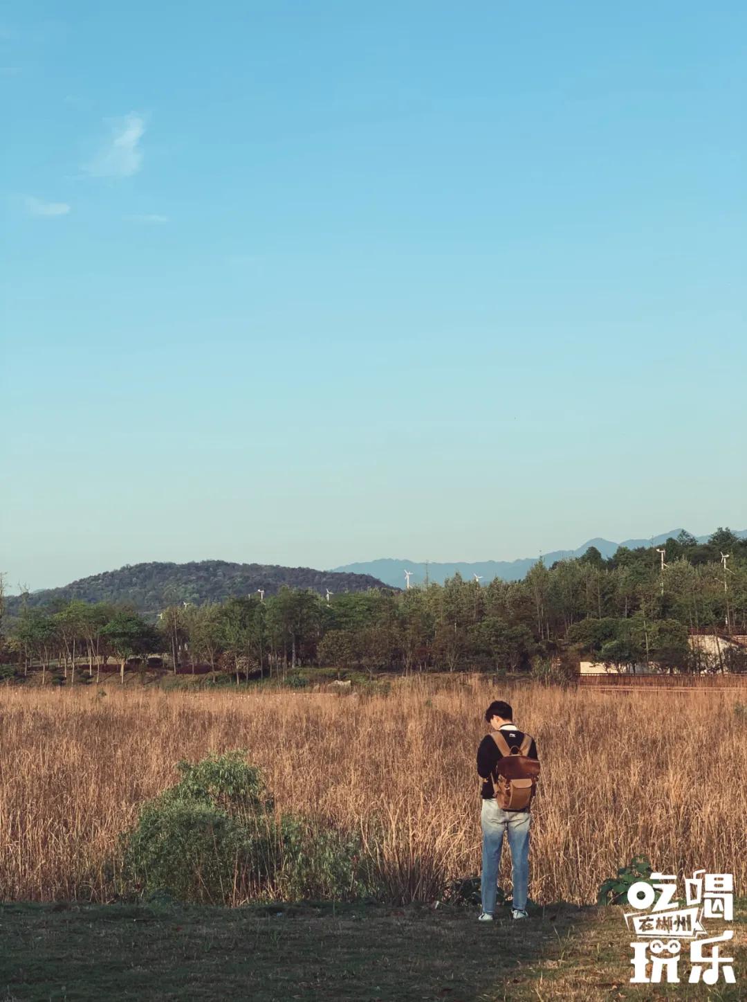 千岛湖100公里内游玩,来千岛湖看一场绝美日落