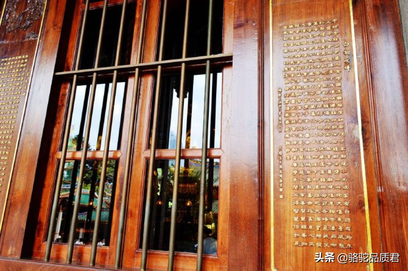 厦门海边之旅,厦门小众旅游体验