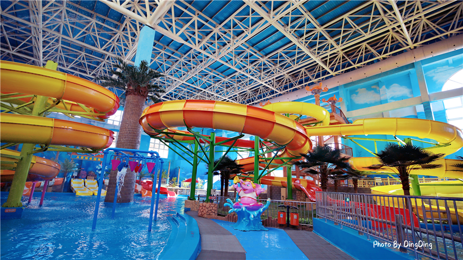 迪士尼能走多远,迪士尼乐园有多远