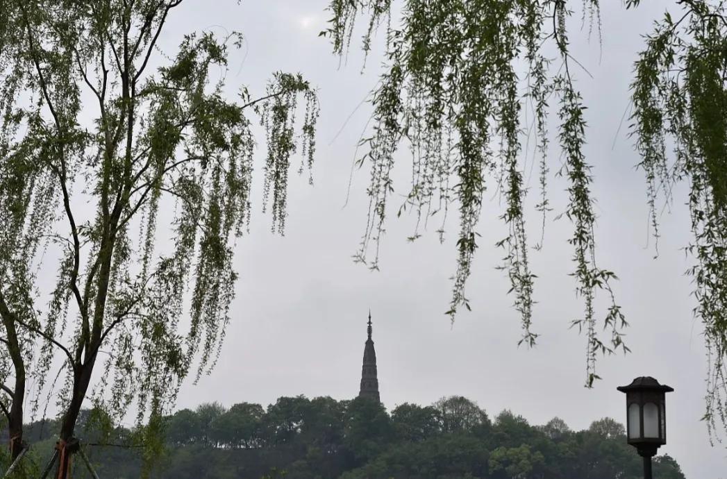 广州从化女生被骗十几万,永州被骗女子