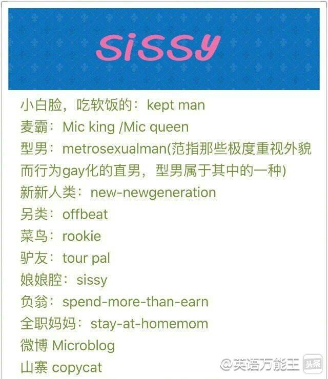 菜鸟、驴友、麦霸、代购、跳槽、型男、暴走、拼车热词英语怎么说