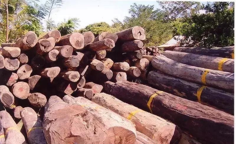 红木家具什么木材最好又不贵,红木家具木材价格排行