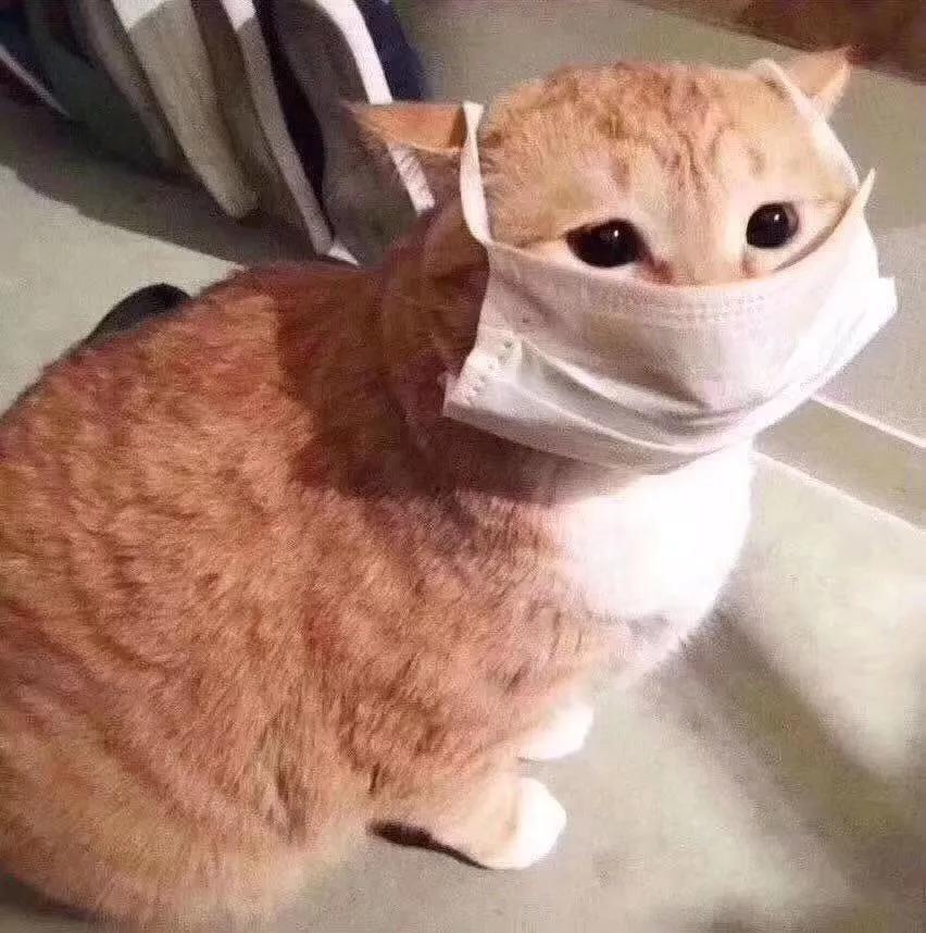 科普贴推荐视频,科普贴纸