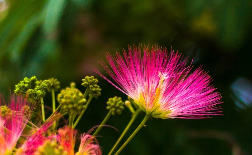 被嫉妒的人如何去应对呢,被别人嫉妒才是本事