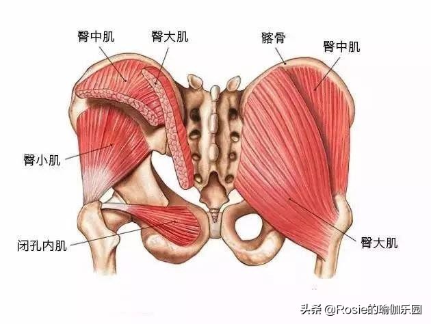 假胯宽怎么消除最有效,假胯宽是什么原因怎么治