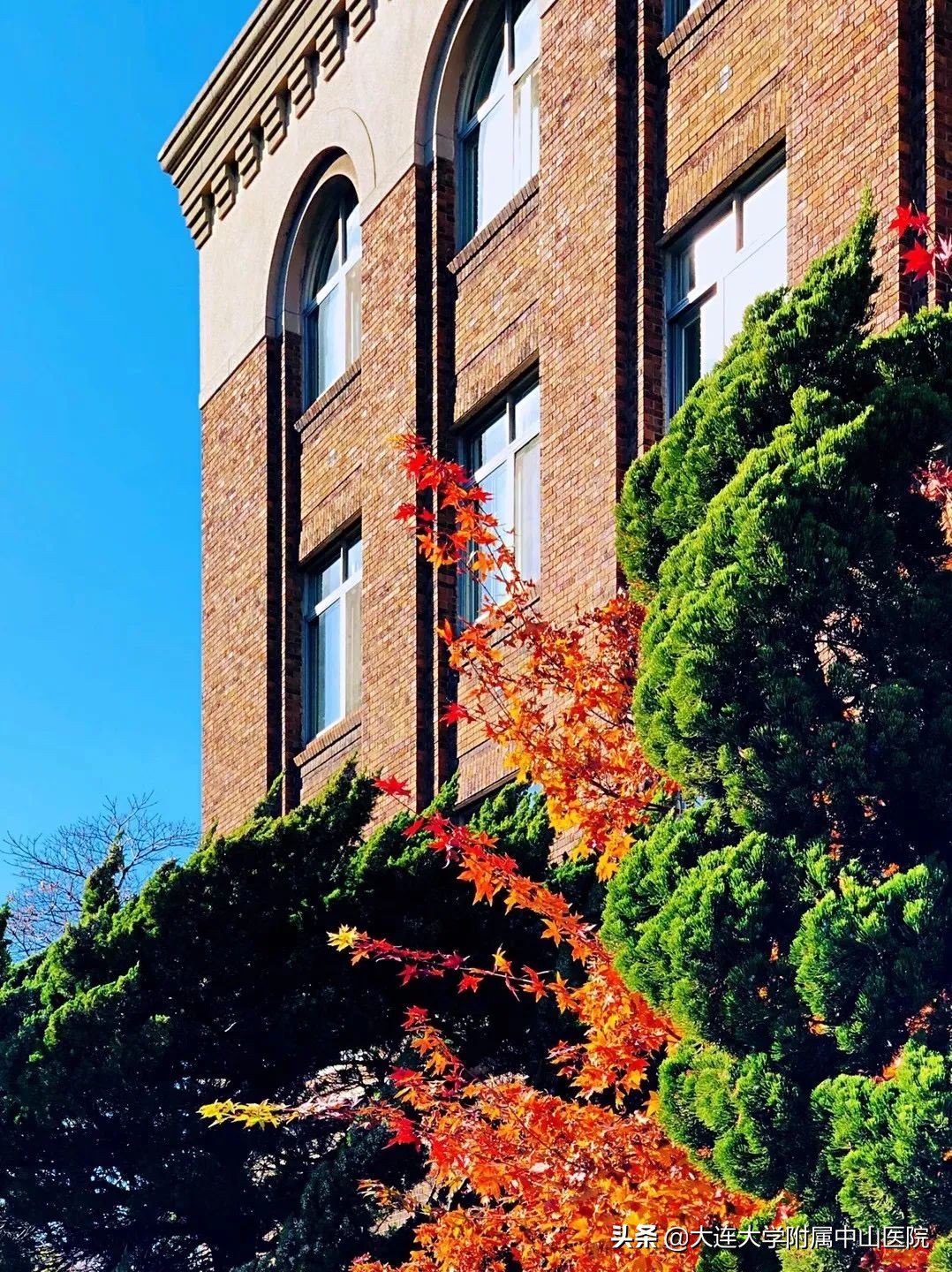 【博古通今】小编带你“逛”医院②