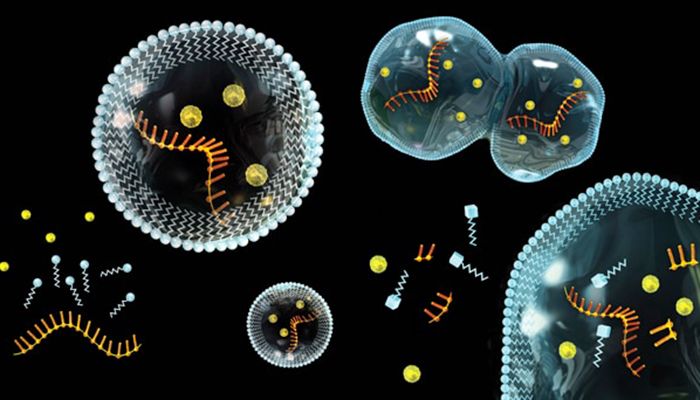 生命如何在地球上孕育出来？