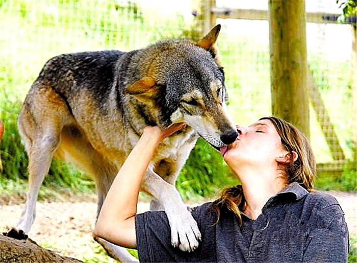 狗狗亲主人脸是什么意思,爱犬和狗接吻的危害