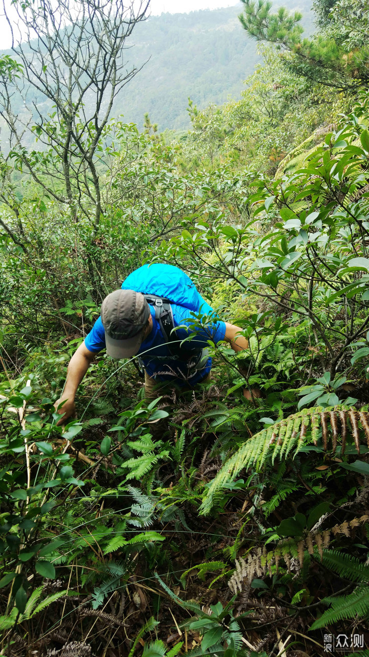 拓乐背包双肩包,拓乐户外背包