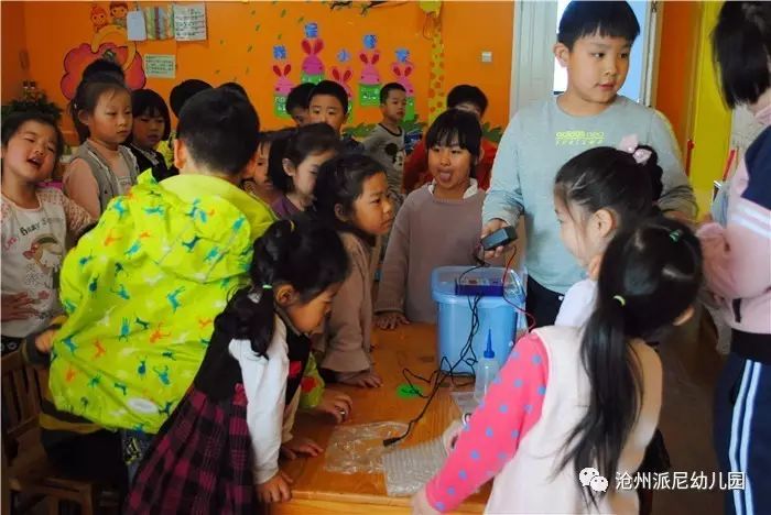 生命教育孵蛋,生命教育课程孵小鸡