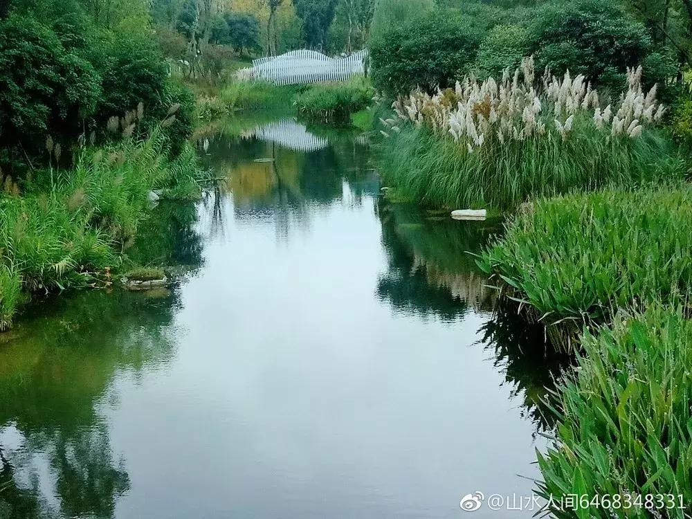 成都世界最大的公园,成都大公园游玩