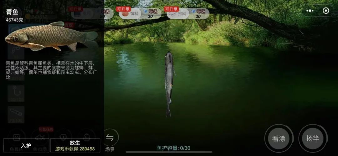 实况钓鱼新手池怎么钓稀有鱼,实况钓鱼钓巨物视频