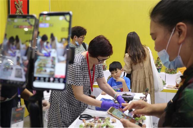 让人惊艳的花展,花展上看到的美到窒息
